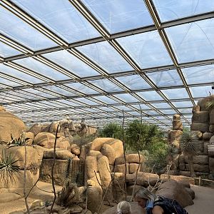 Desert- General view 6.7.23