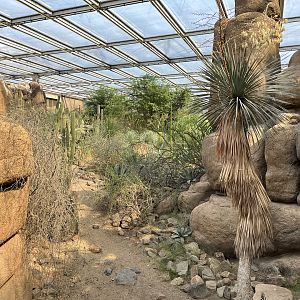 Desert- General view 6.7.23