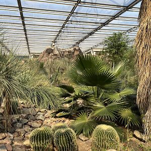 Desert- General view 6.7.23