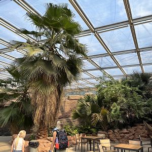 Desert- view of plants 6.7.23