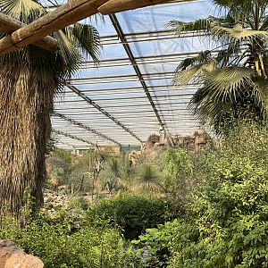 Desert- General view 6.7.23