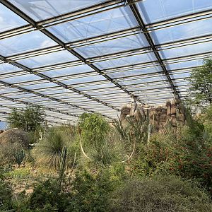 Desert- General view 6.7.23