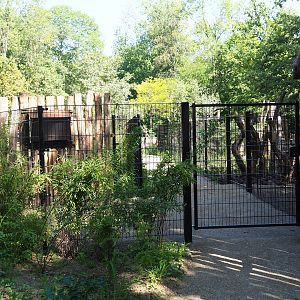 Keeper road between Somali wild ass/Dorcas gazelle and Mountain bongo/Kirk's dik-dik paddocks, and backside of feeder, 2023-07-19