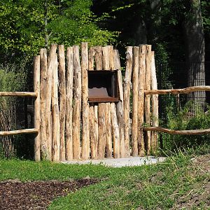 New antelope feeder, 2023-07-19