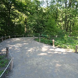 Renovated walkway in the African ungulate area, 2023-07-19
