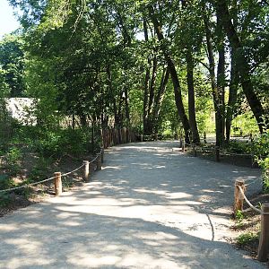 Renovated walkway in the African ungulate area, 2023-07-19
