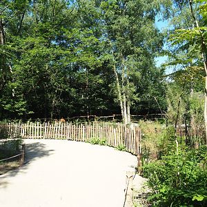 New Mountain bongo viewing area, 2023-07-19