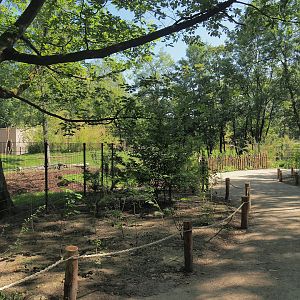Renovated walkway near the new Mountain bongo paddock, 2023-07-19