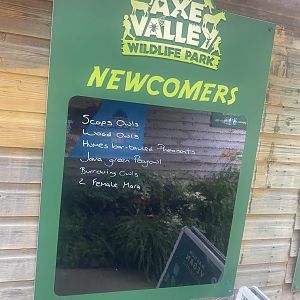 Board showing new arrivals 300623