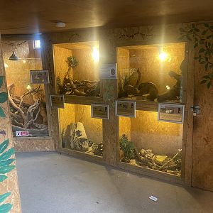 Reptile Room 300623