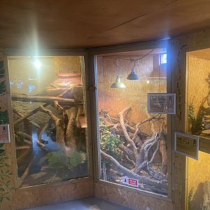 Reptile Room 300623