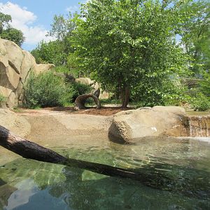 North American River Otter Exhibit, Zoo Central