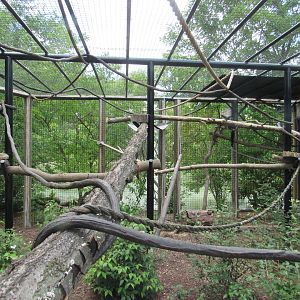 Mixed-species South American Exhibit, Zoo Central