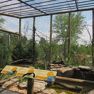 Red Panda Ridge Aviary