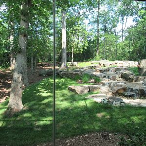 Tiger Forest, Indonesian Rainforest (Renovated in 2023)