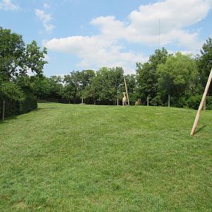 Giraffe Exhibit (Right side), African Journey