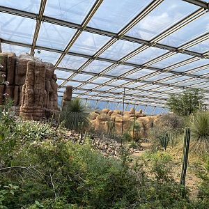 Desert- General view 6.7.23