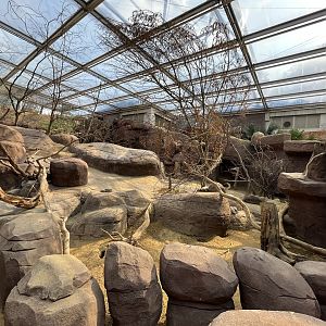 Desert- Prairie dog, North American porcupine and Collared peccary enclosure 6.7.23