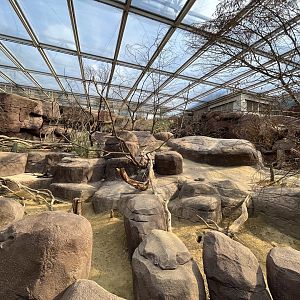 Desert- Prairie dog, North American porcupine and Collared peccary enclosure 6.7.23