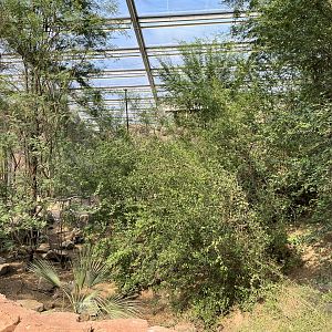 Desert- view of plants 6.7.23