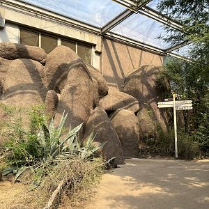 Desert- General view 6.7.23