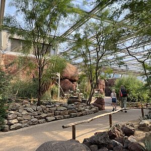 Desert- General view 6.7.23