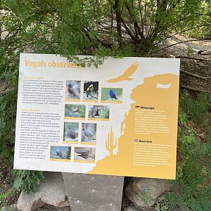 Desert- Signage of birds in it 6.7.23