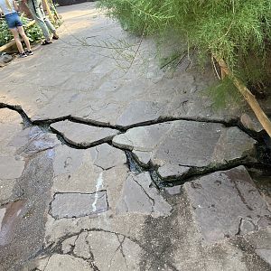 Desert- water flowing through path 6.7.23