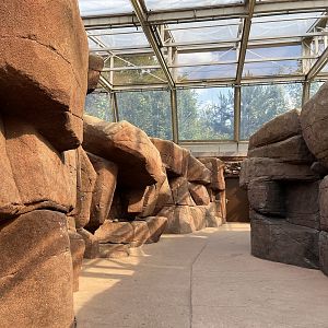 Desert- General view 6.7.23