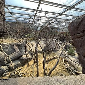 Desert- Prairie dog, North American Porcupine and Collared Peccary enclosure 6.7.23