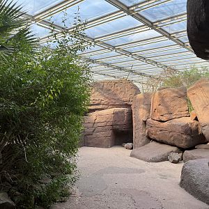 Desert- General view 6.7.23