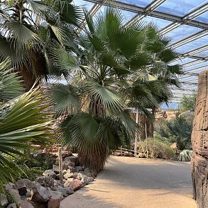 Desert- General view 6.7.23