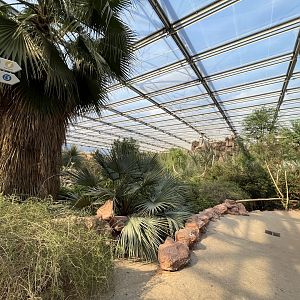 Desert- General view 6.7.23