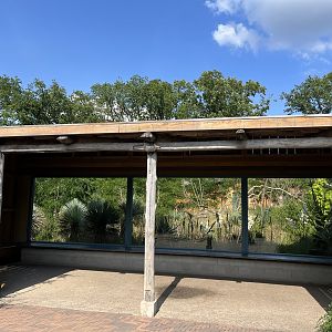 Lemur viewing hut 6.7.23