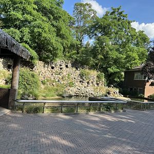 African penguin enclosure 6.7.23
