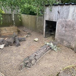 Long-nosed potoroo enclosure 300623