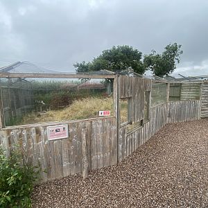 Arctic fox enclosure 300623