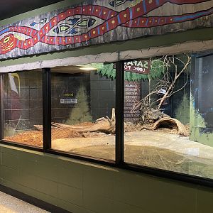 Green Anaconda Exhibit