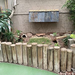 Jungle Dome - Tortoise Exhibit