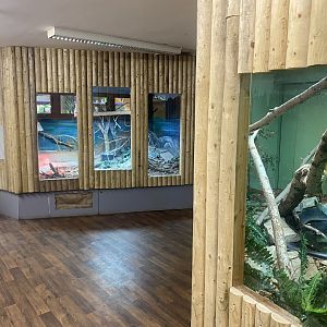 Reptile exhibits 150723