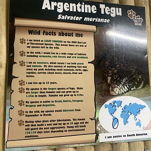 Signage example 150723