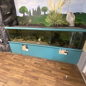 Axolotl and Electric catfish exhibits 150723