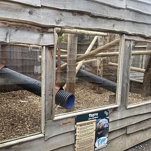 Tayra exhibit 150723