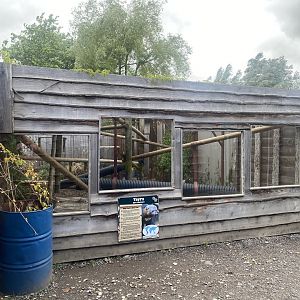 Tayra exhibit 150723