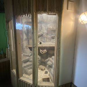 Chinchilla exhibit 150723