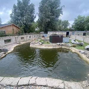 American beaver enclosure 150723