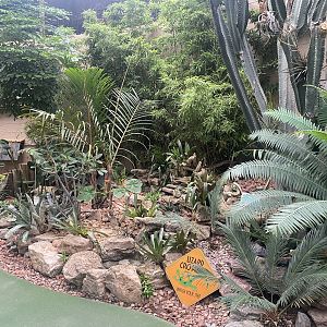 Jungle Dome - Scenery