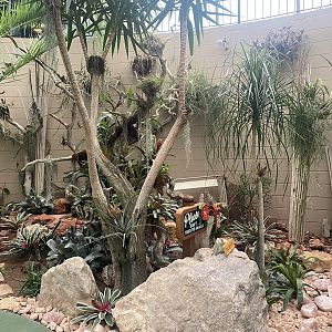 Jungle Dome - Scenery