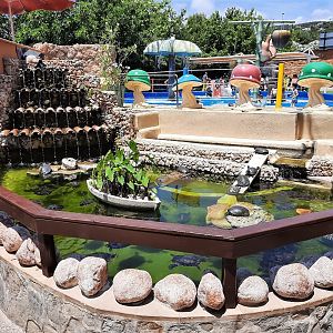 Slider (turtle) enclosure