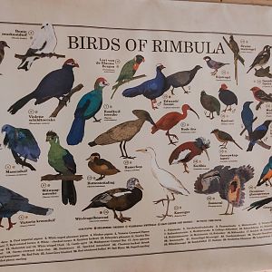 Birds of Rimbula signage